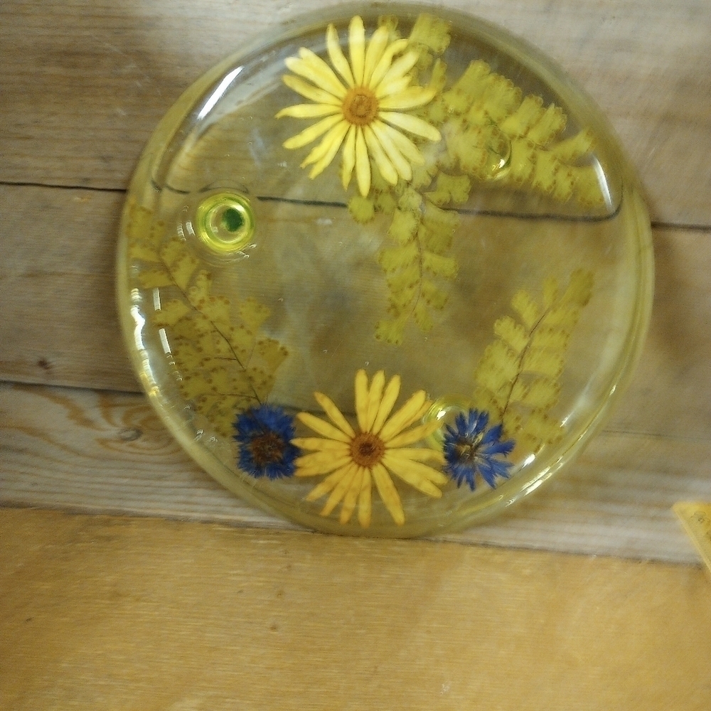 Vintage Resin Flower Trivet Pressed Dried Floral Boho Kitsch